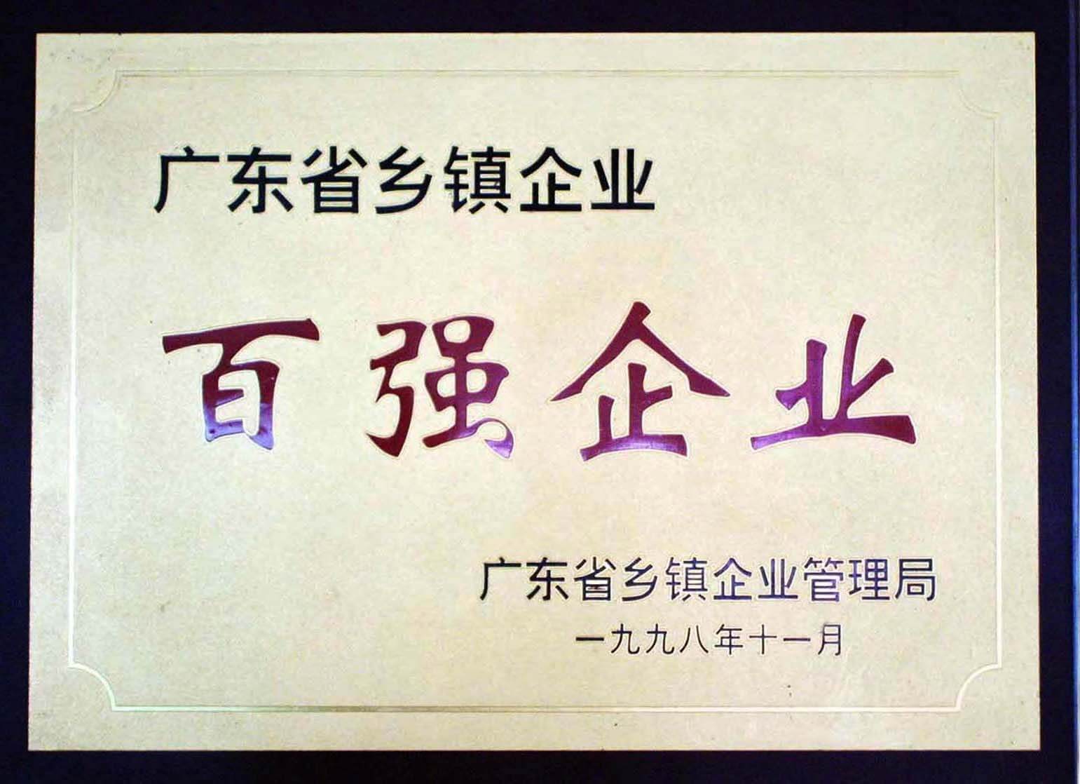 廣東省鄉鎮企業百強企業